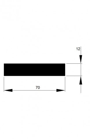 TYČ PLOCHÁ  70x12 / 6m